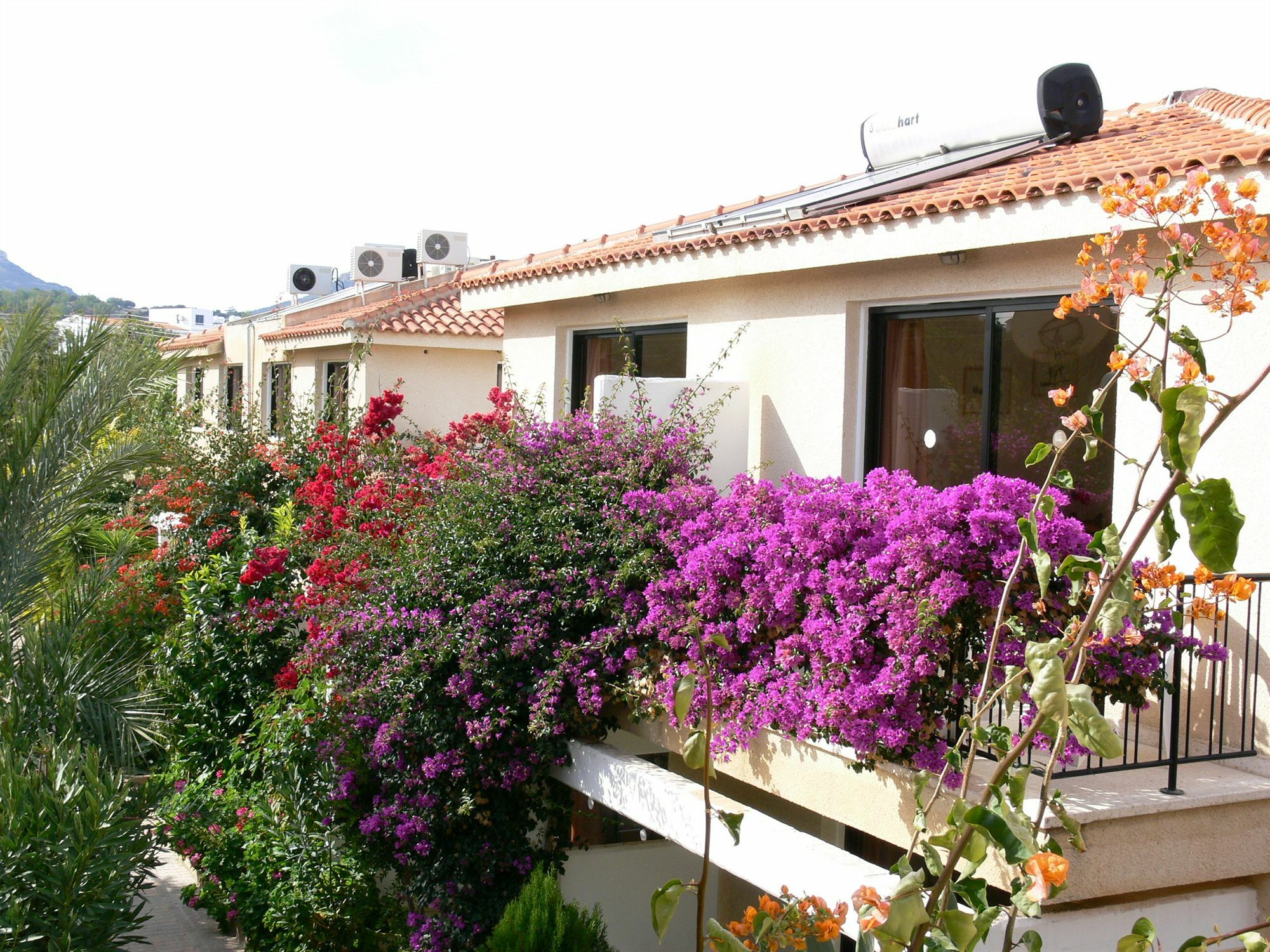 Tavros Hotel Apartments Polis Exterior photo